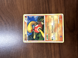 Shuckle HGSS15 Holo Pokemon TCG HeartGold SoulSilver Black Star Promo Card LP-NM - Image 1