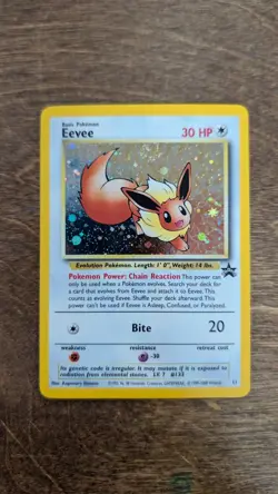 1999 Pokemon Promo Eevee Black Star Promo #11 Holo WOTC Vintage - Image 3