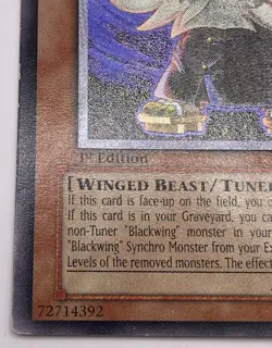 Yu-Gi-Oh! Blackwing - Vayu The Emblem Of Honor ULTIMATE RARE 1st Edition ANPR - Image 5