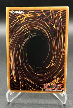 Madolchepalooza ABYR-EN074 - Super Rare 1st Edition - Abyss Rising - YuGiOh - NM - Image 2