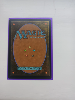 Hexing Squelcher NM MTG Lorwyn Eclipsed Rare Card Magic The Gathering - Image 2