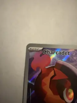 Charcadet - MEP022 - MEP Black Star Promos (Pokemon Center Exclusive) - NM - Image 2