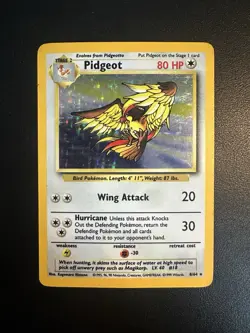 Pokemon TCG Pidgeot Jungle 8/64 Holo Unlimited Holo Rare NO SYMBOL ERROR - Image 1