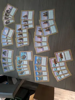 Magic the Gathering 1998 World Champion - Card lot (423 cards) - Image 3