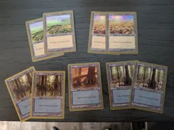 Magic the Gathering 1998 World Champion - Card lot (423 cards) - Image 4