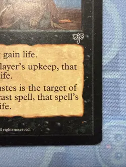 Forsaken Wastes Mirage MTG Magic the Gathering - Image 4