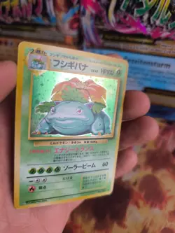 Pokemon Karte Card Bisaflor Venusaur Expansion Base Set Holo Wotc japanese VG- - Image 2