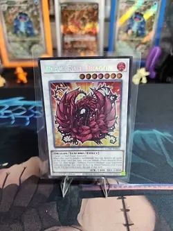 Yugioh Black Rose Dragon (Chibi Art) L5DD-ENS02 Secret Rare 1st Ed Near Mint - Image 1