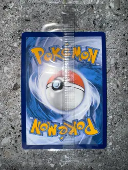 Pokemon TCG Charmander SVP044 Illustration Rare Black Star Promo Holo SEALED - Image 4