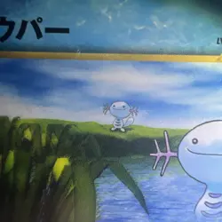 Wooper 194 - POKEMON 2000 JAPANESE CoroCoro Comic PROMO - CGC GRADED 9 Mint - Image 4