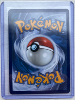 *NEW* Pokemon TCG First Partner Illustration Series 1 Gen 7 Alola Starters! L@@K - Image 3