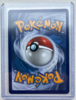 *NEW* Pokemon TCG First Partner Illustration Series 1 Gen 7 Alola Starters! L@@K - Image 5