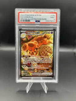 2024 POKEMON DACHSBUN EX SIR SCR EN-STELLAR CROWN 169/142 PSA 9 - Image 1