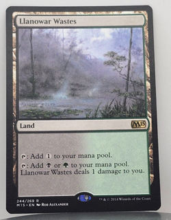 Llanowar Wastes - Magic 2015 - M15 - 244/269 - MTG - Image 1