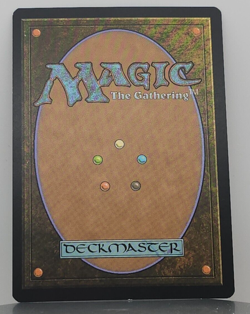 Llanowar Wastes - Magic 2015 - M15 - 244/269 - MTG - Image 2