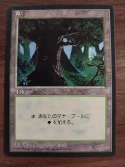 1x Forest Basic Land - NM/LP - 4th Edition *JAPANESE LANGUAGE* Black Border - Image 1