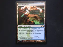 Breeding Pool LP [Gatecrash] Mtg Magic Free Tracking! - Image 1
