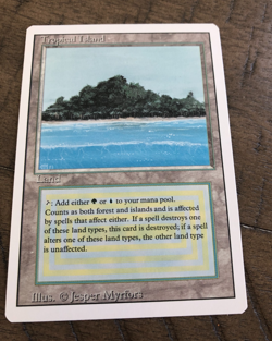 MTG Revised Dual Lands Set of 10 NM - Image 3
