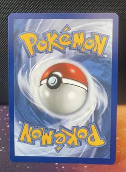 Turtwig 040 Pokemon TCG First Partner Series 1 Illustration Rare - Mint - Image 2