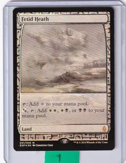 Fetid Heath (Full Art) FOIL * Zendikar Expeditions MTG - LightlyPlayed - Image 1