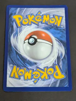 Wailord Illustration Rare SV09: Journey Together 162/159 NM Holofoil Pokemon - Image 2