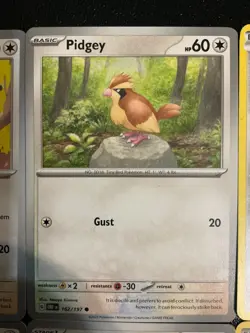 9 pidgey pidgeotto pidgeot pokemon cards mixed lot Bird Cute Holo Ex - Image 3