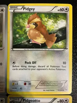 9 pidgey pidgeotto pidgeot pokemon cards mixed lot Bird Cute Holo Ex - Image 4