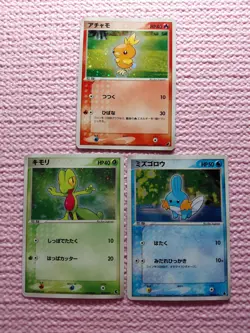 Torchic 002/019 & Mudkip 003/019 & Treecko 003/019 Japanese Pokemon Card A252 - Image 1