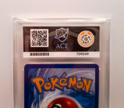 Feraligatr Illustration Contest 2024 Black Star Promo 213 Ace Mint 9 Pokemon - Image 5