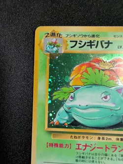 Venusaur No.003 Holo Base Set 1996 Old Back Rare Japanese Pokemon Card - HP - Image 2