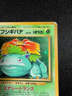 Venusaur No.003 Holo Base Set 1996 Old Back Rare Japanese Pokemon Card - HP - Image 3