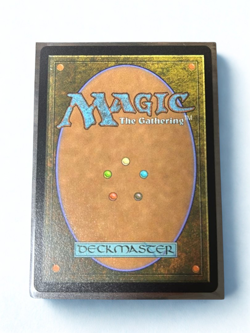 MTG Vivi Ornitier (Borderless) (Chocobo Track Foil) English Near Mint - Image 2