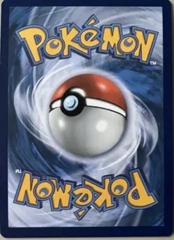 Pokemon TCG Chatot 181/162 Sv05: Temporal Forces Holo - NM - Image 2