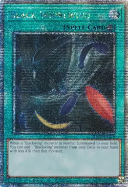 Yu-Gi-Oh Black Whirlwind Quarter Century Secret Rare RA03-EN219 NM - Image 1