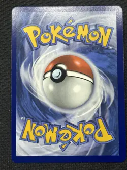 Pokemon Bloodmoon Ursaluna ex 141/167 Twilight Masquerade Double Rare Holo 260HP - Image 2