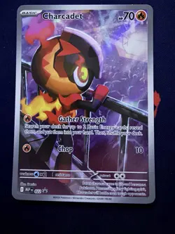 Charcadet - MEP 022 - Black Star Promo - Pokemon Card - NM/M - Image 1