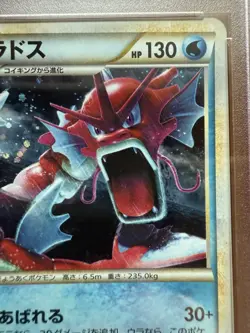 Pokemon Gyarados Random Basic Pk. Japanese Holo Promo 004/L-P PSA 10 Gem Mint - Image 4