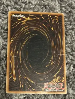 Yu-Gi-Oh TCG Dark Paladin Limited Edition Secret Rare #DMG-001 - Image 2