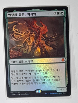 (Foil) [NM] MTG Korean, Zendikar Rising, 1 x Ashaya, Soul of the Wild - Image 1