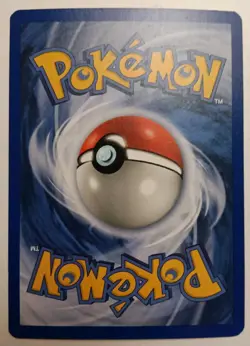 Torchic - 017 - Pokemon Promo Wizards Black Star Holo Card LP - Image 2