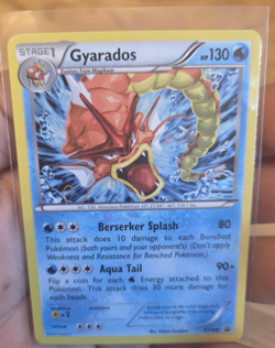 Pokemon Pokemon TCG Black Star Promo Singles NM Gyarados XY109 - Image 1