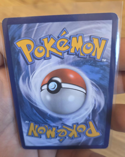Pokemon Pokemon TCG Black Star Promo Singles NM Gyarados XY109 - Image 2