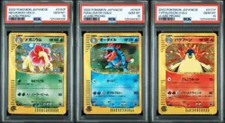 PSA 10 Pokemon MegaNium 015 Typhlosion 017 Feraligatr 016 e card Promo Set of 3 - Image 1