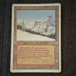 Magic: The Gathering Taiga Revised Edition Regular Rare Land Card Rob Alexander - Image 1