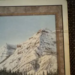 Magic: The Gathering Taiga Revised Edition Regular Rare Land Card Rob Alexander - Image 2