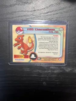 CHARMELEON #05 - Topps Pokemon TV Animation Edition - Black Logo - Image 4