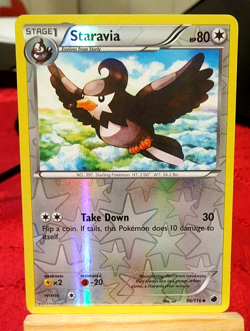 POKEMON Staravia 96/116 Plasma Freeze Set, Reverse Holo Uncommon, NM Condition - Image 1