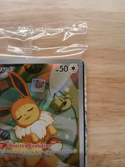 Pokemon TCG - Eevee SVP 173 Pokemon Center Exclusive PC ETB Promo Sealed - Image 3