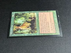 Magic: The Gathering Natural Order Visions Regular Green Rare Nielsen - Image 2
