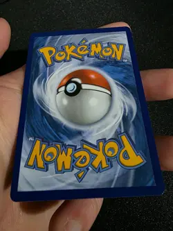 Mightyena 243/217 Ascended Heroes Illustration Rare Pokemon TCG - NM - Image 5